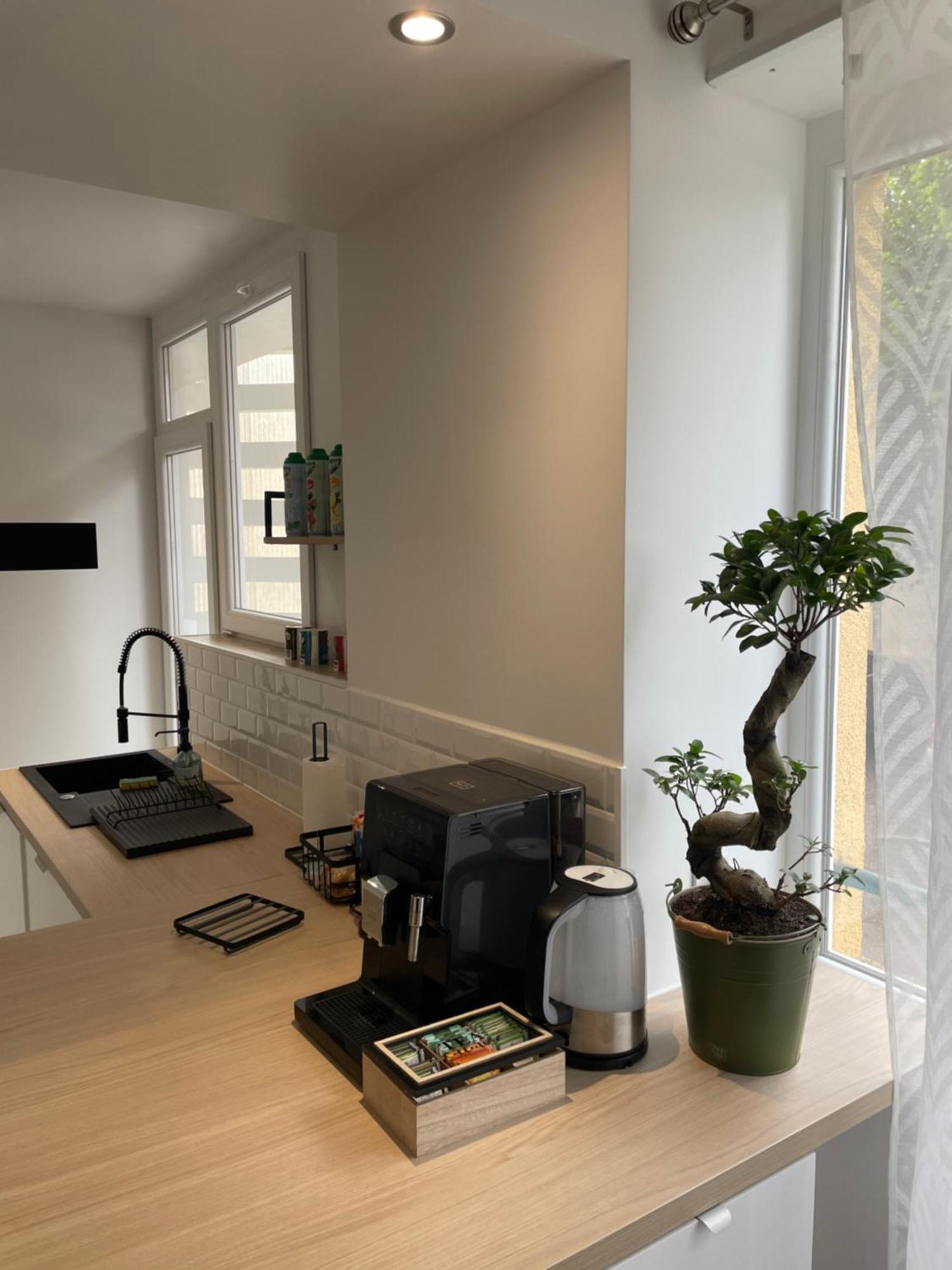 Appartement Du Lion Belfort Exterior photo